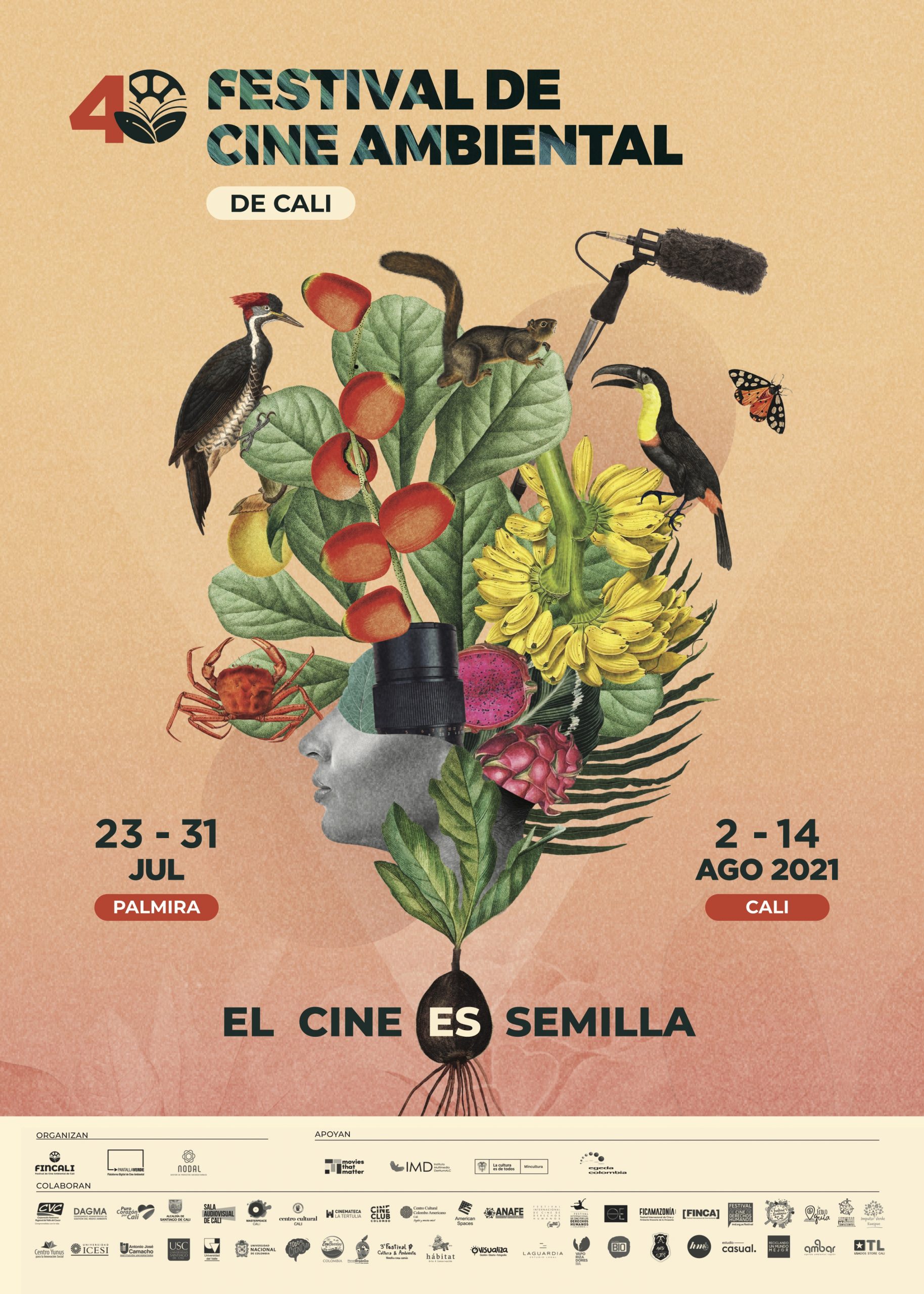 El 4to Festival De Cine Ambiental De Cali Elcineessemilla Se Prepara Para Dar Inicio A Sus 5043