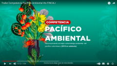 Función 1 competencia Pacífico Ambiental